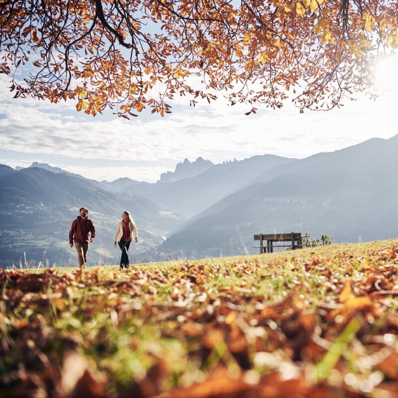 Zwei Wanderer gehen durch eine herbstliche Wiese mit Bergblick und sonnendurchfluteten Bäumen. | © IDM Südtirol-Alto Adige/Manuel Ferrigato