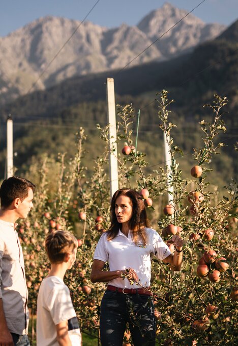 Familie steht in einem Apfelgarten mit Bergen im Hintergrund. | © IDM/Südtiroler Apfelkonsortium/Patrick Schwienbacher