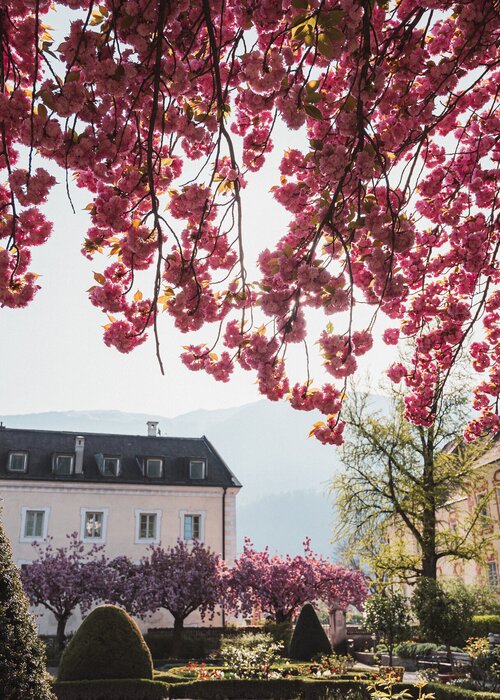 Hofburg Brixen