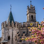 Historic castle tower with pink blossoms against a clear blue sky.