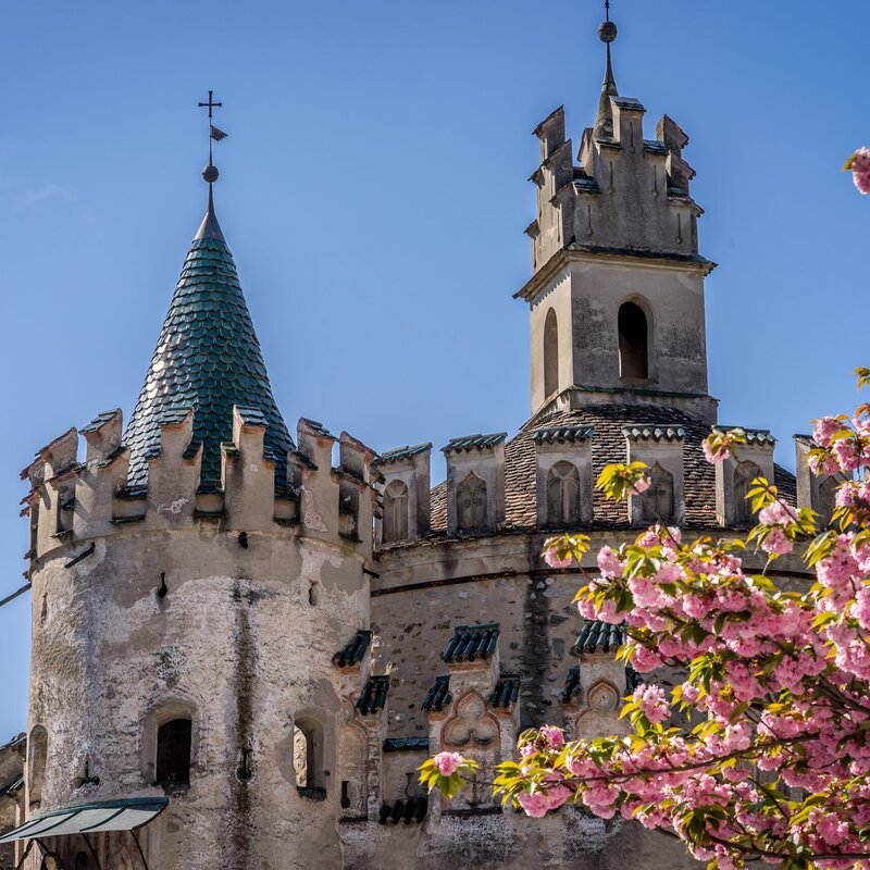 Historischer Schlossturm mit rosa Blüten vor klarem blauem Himmel.