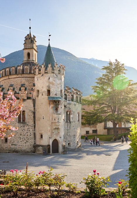 Historic castle in Brixen Südtirol with blooming trees and mountain backdrop