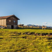 Alpe di Barbiano | © Wolfgang Gafriller