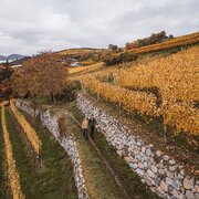 Vignetti | © Brixen Tourismus_Hannes Engl