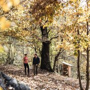 Il castagneto nel “Köstental” ad Aica | © TG Natz-Schabs, Florian Andergassen