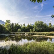 Biotopo Laugen Naz | © Tourismusverein Natz-Schabs, Hannes Niederkofler